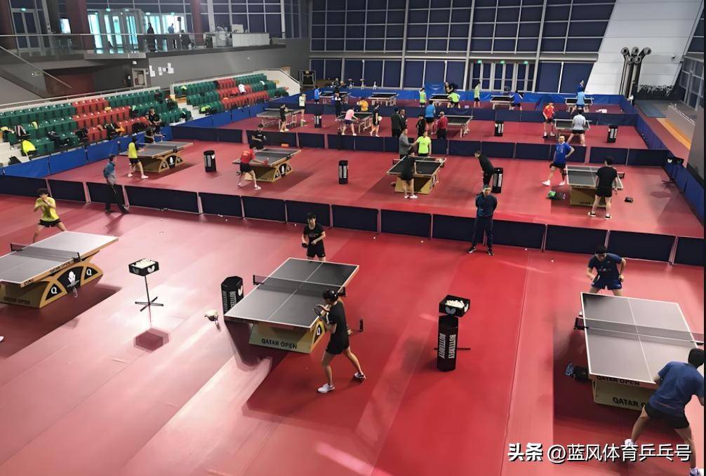包含乒乓球队正面临充满挑战的季后赛，全力备战的词条