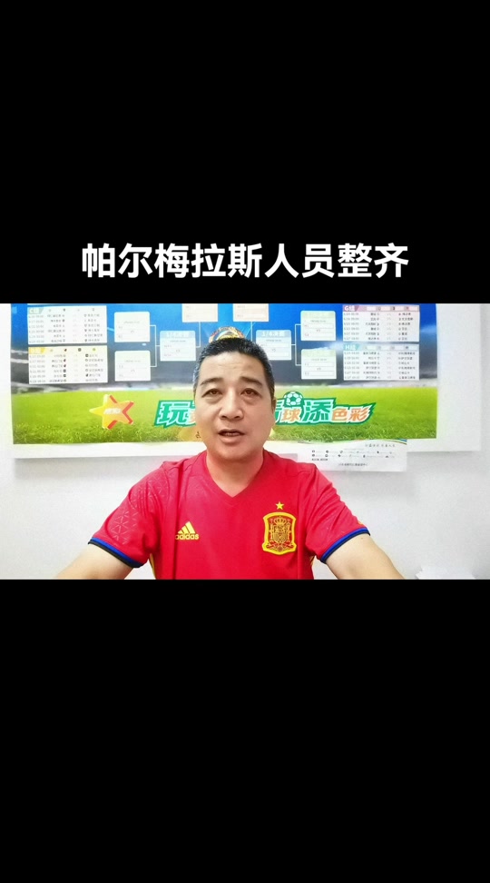 包含帕尔梅拉斯主教练称赞球队拼搏精神，期待突破的词条